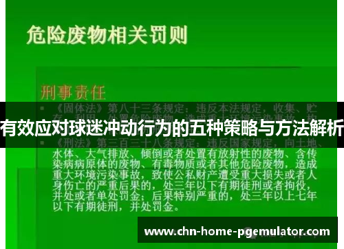 有效应对球迷冲动行为的五种策略与方法解析 有效应对球迷冲动行为的五种策略与方法解析