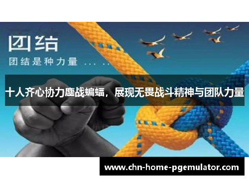 十人齐心协力鏖战蝙蝠,展现无畏战斗精神与团队力量 十人齐心协力鏖战蝙蝠,展现无畏战斗精神与团队力量