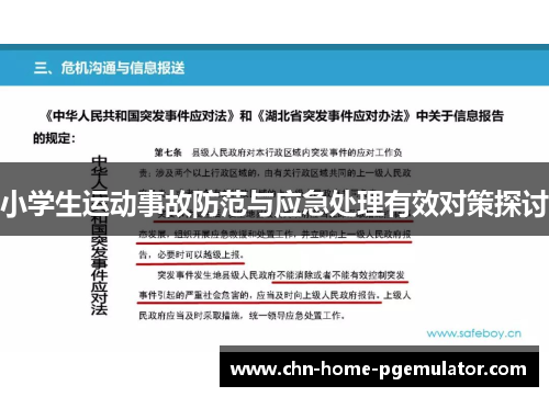 小学生运动事故防范与应急处理有效对策探讨