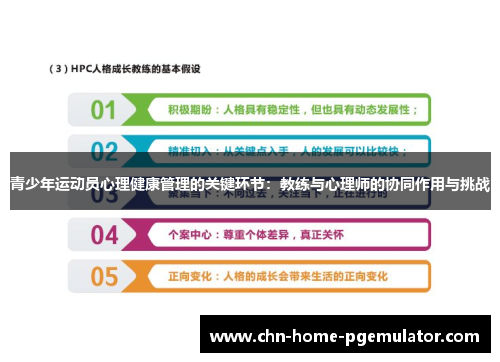 青少年运动员心理健康管理的关键环节：教练与心理师的协同作用与挑战