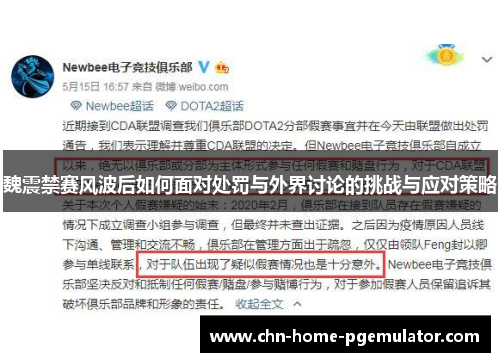 魏震禁赛风波后如何面对处罚与外界讨论的挑战与应对策略 魏震禁赛风波后如何面对处罚与外界讨论的挑战与应对策略