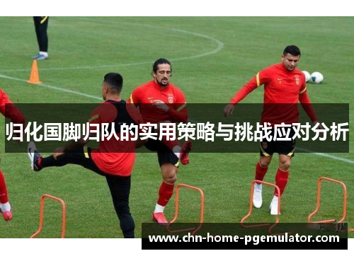 归化国脚归队的实用策略与挑战应对分析 归化国脚归队的实用策略与挑战应对分析