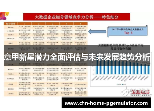 意甲新星潜力全面评估与未来发展趋势分析 意甲新星潜力全面评估与未来发展趋势分析