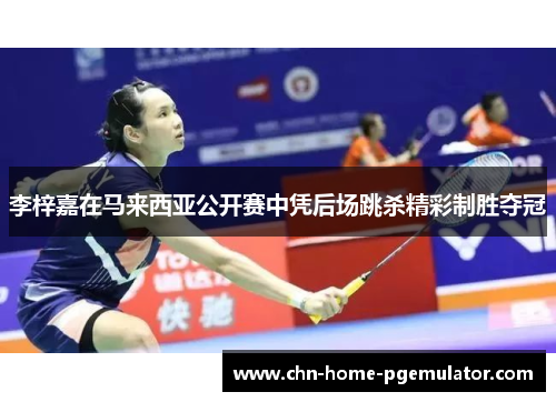 李梓嘉在马来西亚公开赛中凭后场跳杀精彩制胜夺冠