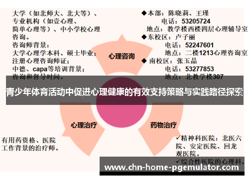 青少年体育活动中促进心理健康的有效支持策略与实践路径探索 青少年体育活动中促进心理健康的有效支持策略与实践路径探索
