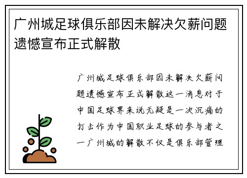广州城足球俱乐部因未解决欠薪问题遗憾宣布正式解散