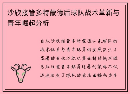 沙欣接管多特蒙德后球队战术革新与青年崛起分析 沙欣接管多特蒙德后球队战术革新与青年崛起分析